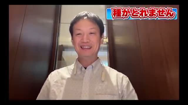 屋外で種が採れない場合の段階的なアプローチ