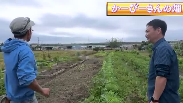 圃場の概要と4つの比較実験区画