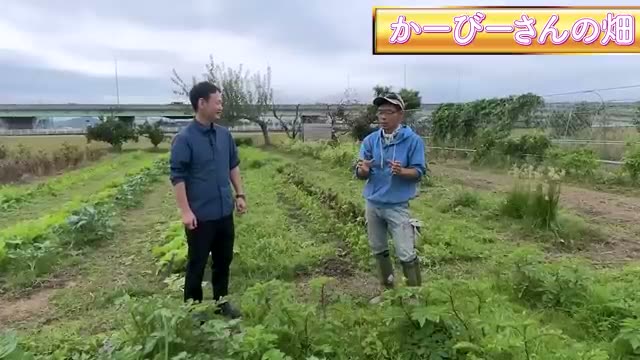 春秋両用できるジャガイモの品種特性