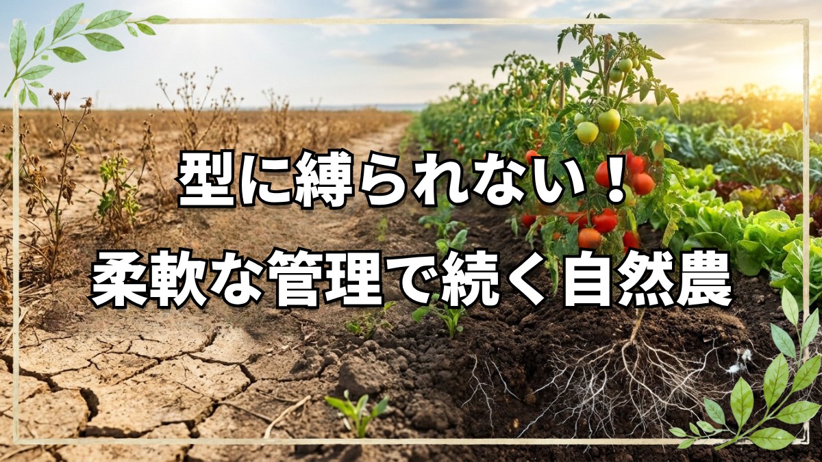 プロに学ぶ自然農法の現実と持続のコツ
