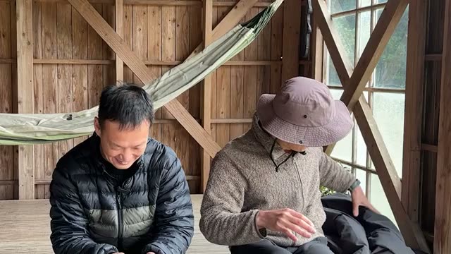 初心者におすすめの野菜：育てやすさならルッコラ