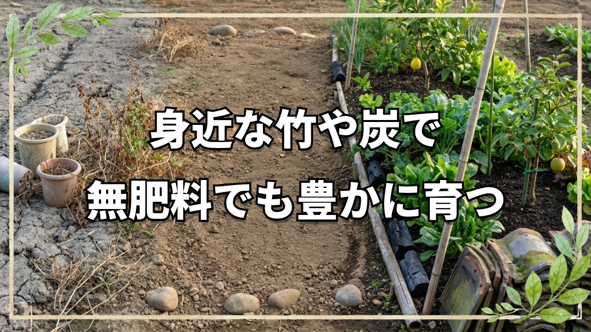 山口県の古民家で見学する自由な菜園づくり｜菌ちゃん農法から混植・果樹の知恵まで