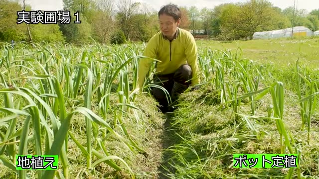 管理作業におけるメリットとデメリット