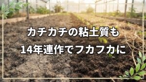 14年連作で粘土質がフカフカの土に