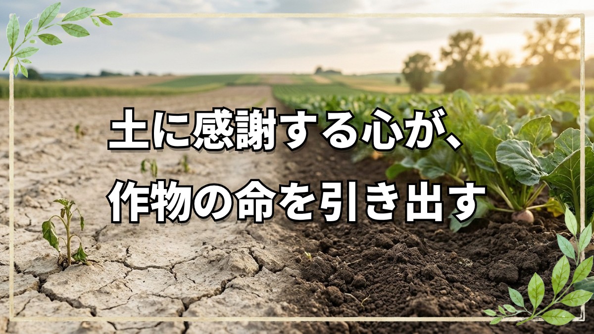 土を喜ばせる自然栽培の極意