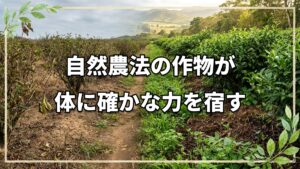 【自然栽培】同じ野菜でも農法でエネルギーが変わる?自然農法の専門店「川のいえ」と作物の持つ力