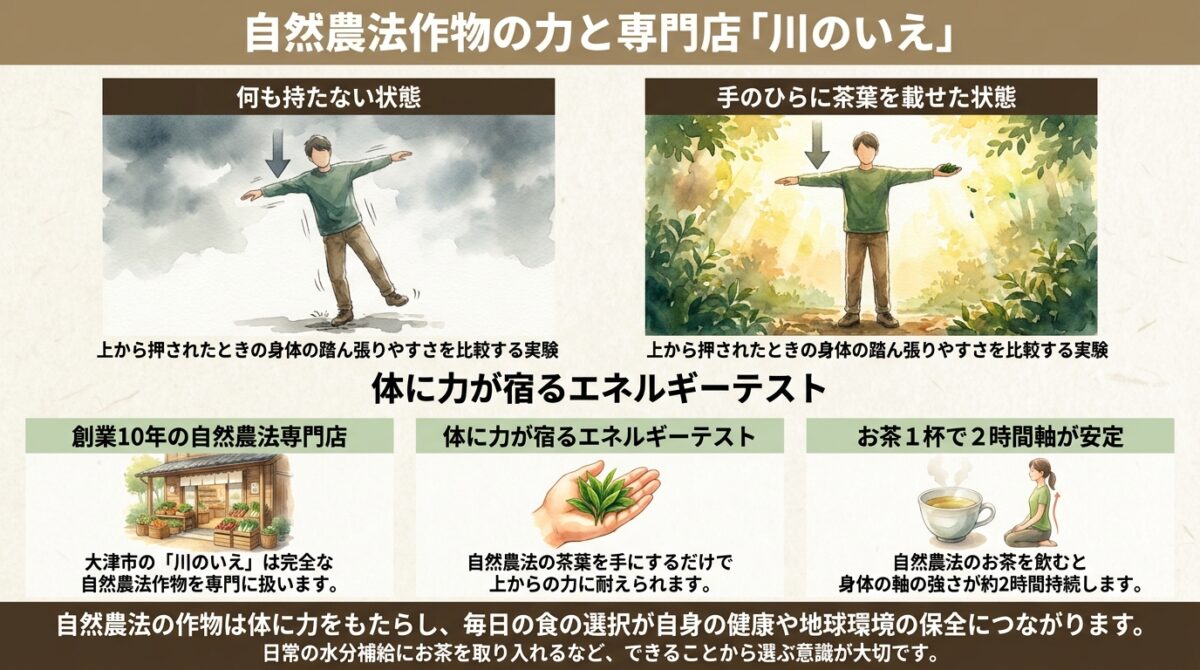 【自然栽培】同じ野菜でも農法でエネルギーが変わる?自然農法の専門店「川のいえ」と作物の持つ力