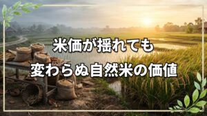 備蓄米放出後の米価格と自然農法米の価値