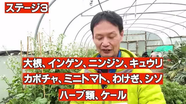 1. 雑草が教えてくれる土のステージと適した野菜