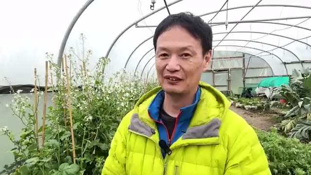4. 雑草は仲間。土と心を通わせるアプローチ