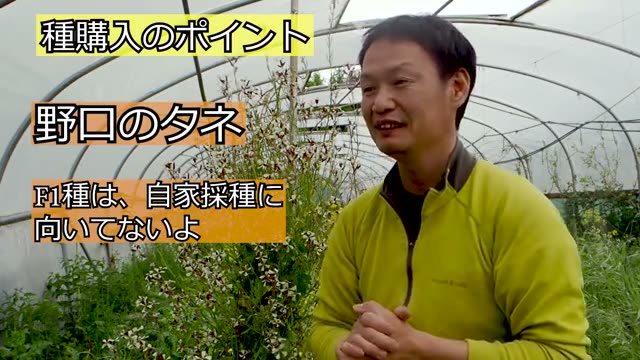 最初に選ぶ種のポイント:固定種・在来種と地域の環境