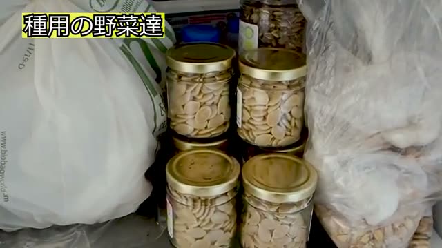 専用冷蔵庫で保存するシードバンクと26年の歴史