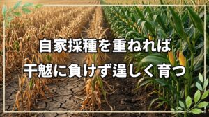 自家採種が栽培のカギを握る理由とポイント|自然栽培20年の実践から学ぶ種の力
