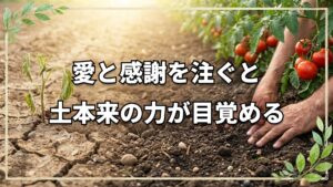 土の力を引き出す愛と感謝の自然栽培