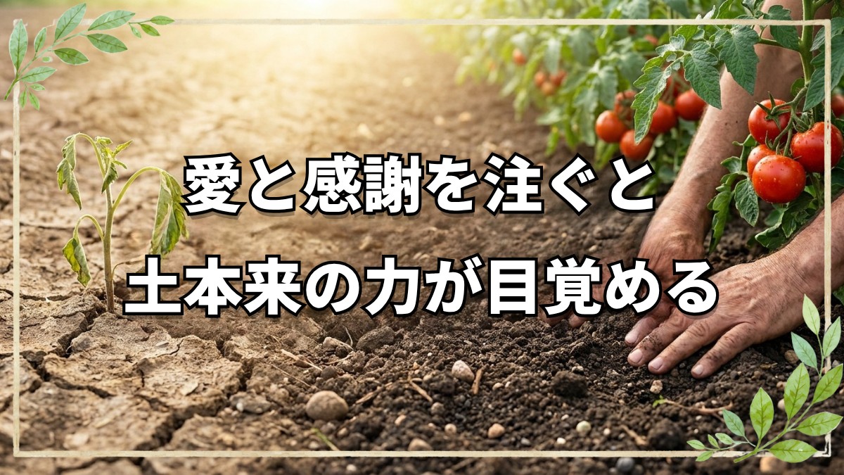 土の力を引き出す愛と感謝の自然栽培