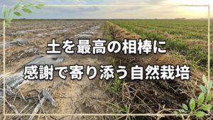 土を喜ばせ味方にする心の持ち方