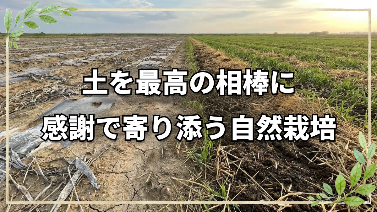 土を喜ばせ味方にする心の持ち方