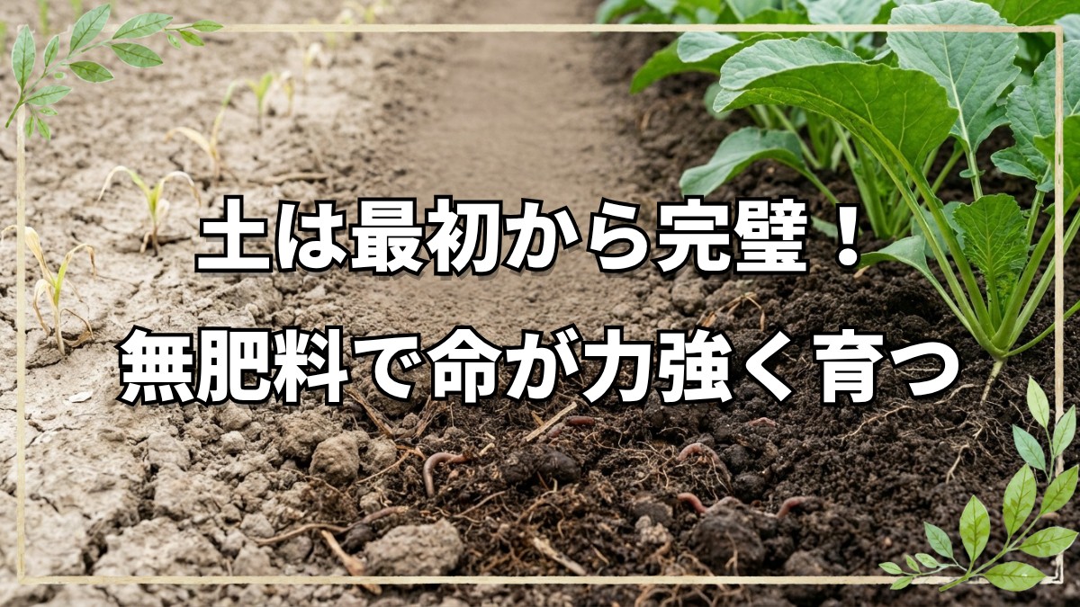 土と命の力を引き出す自然農法