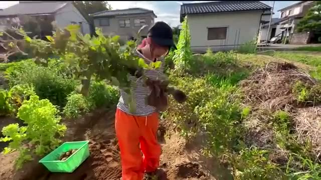 選択心理学で読み解く「土との信頼関係」