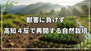 高知での農地決定と新規就農のリアル|今橋さんの新たな挑戦