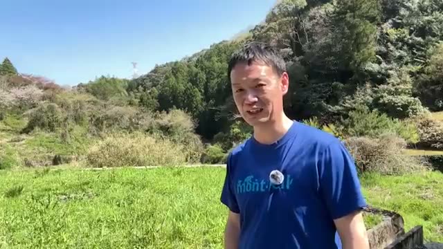 1. 段ごとに異なる「草と水分」を読む——圃場観察のポイント