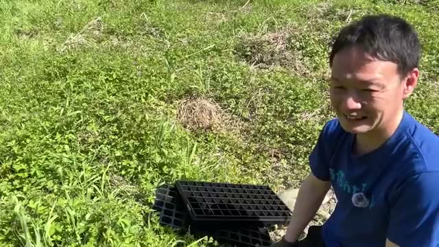 2. 開墾が間に合わないときの知恵——育苗ポットで「時間を稼ぐ」