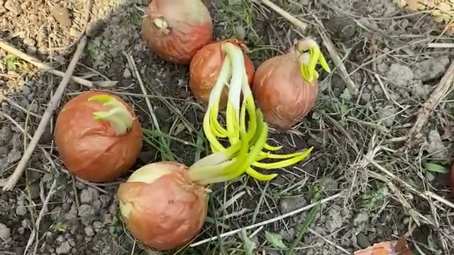 1. 道具を活かし、自然のタイミングを味方につける