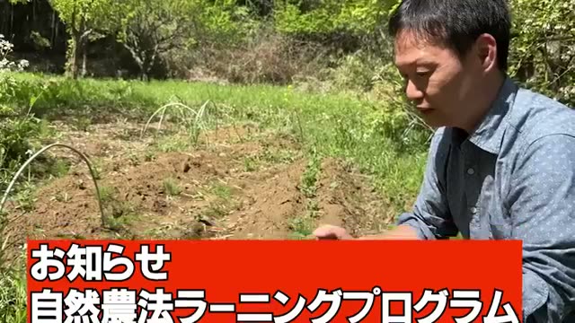 改善策2:クローバーやマメ科雑草の力を借りる