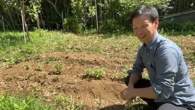 土の変化はある日一瞬で訪れる