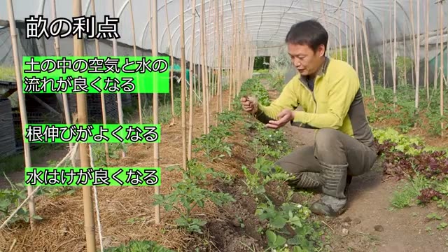 畝の斜面を活用した収穫量の向上