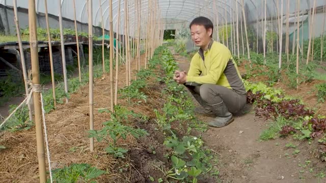 紐を活用して2人で楽に畝を立てる裏技