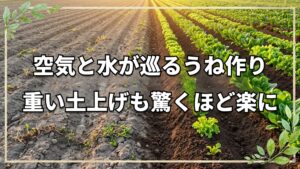 自然栽培における畝作りの利点と欠点|斜面の活用法と2人で行う楽な畝上げの工夫