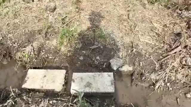 21馬力トラクターが停止する強固な粘土質土壌