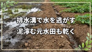 元水田の湿害を改善する!大雨による泥濘化への排水対策と粘土質土壌の耕起
