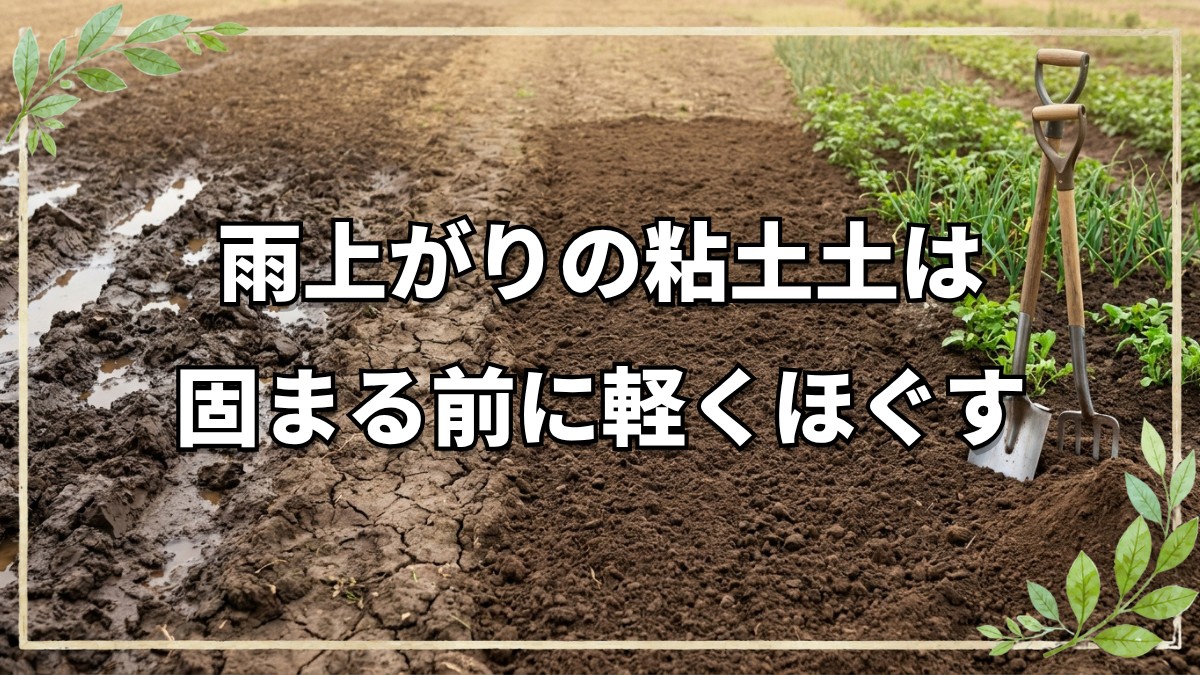 粘土質の圃場管理と作業を楽にするスコップ補助具の使い方
