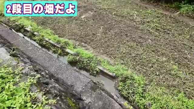 2. 観察から始める傾斜地（段々畑）の排水ルート設計