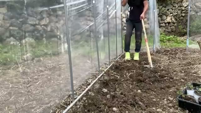 悪条件を前向きに捉えて自然栽培を深める