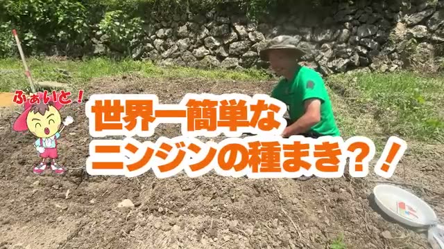 一般的な播種方法と今橋さんのやり方