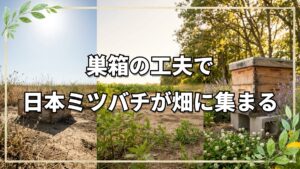 自然栽培の畑に日本ミツバチを呼ぶ方法|巣箱作りの工夫と安全な養蜂へのこだわり
