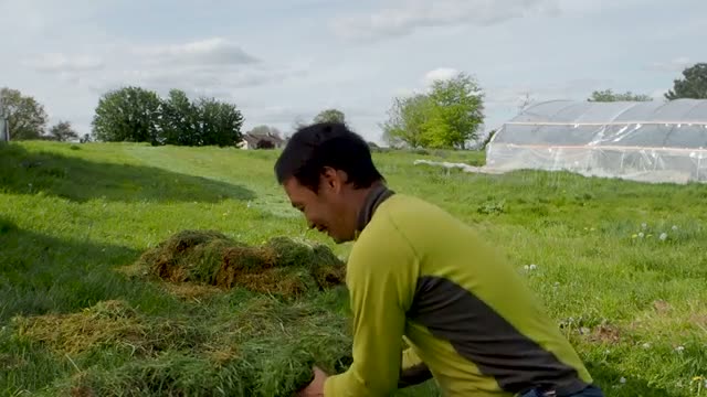 草マルチがもたらす2つの基本効果