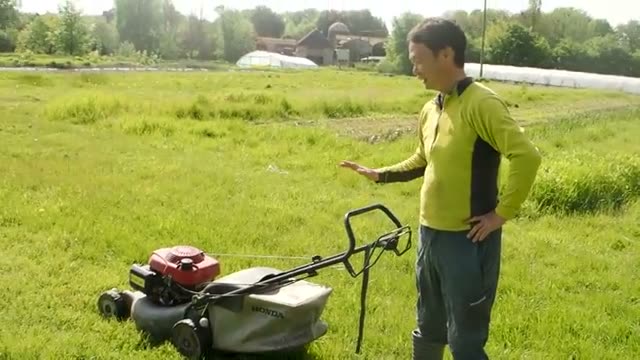 草マルチの集め方と作業の工夫