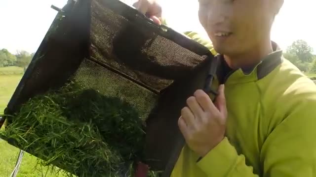 水分を好む野菜への応用と収穫量への影響