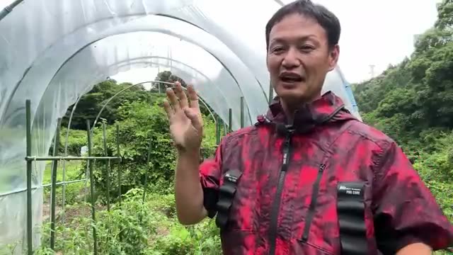 1. 梅雨に病虫害が増える根本原因：「火と水のバランス」