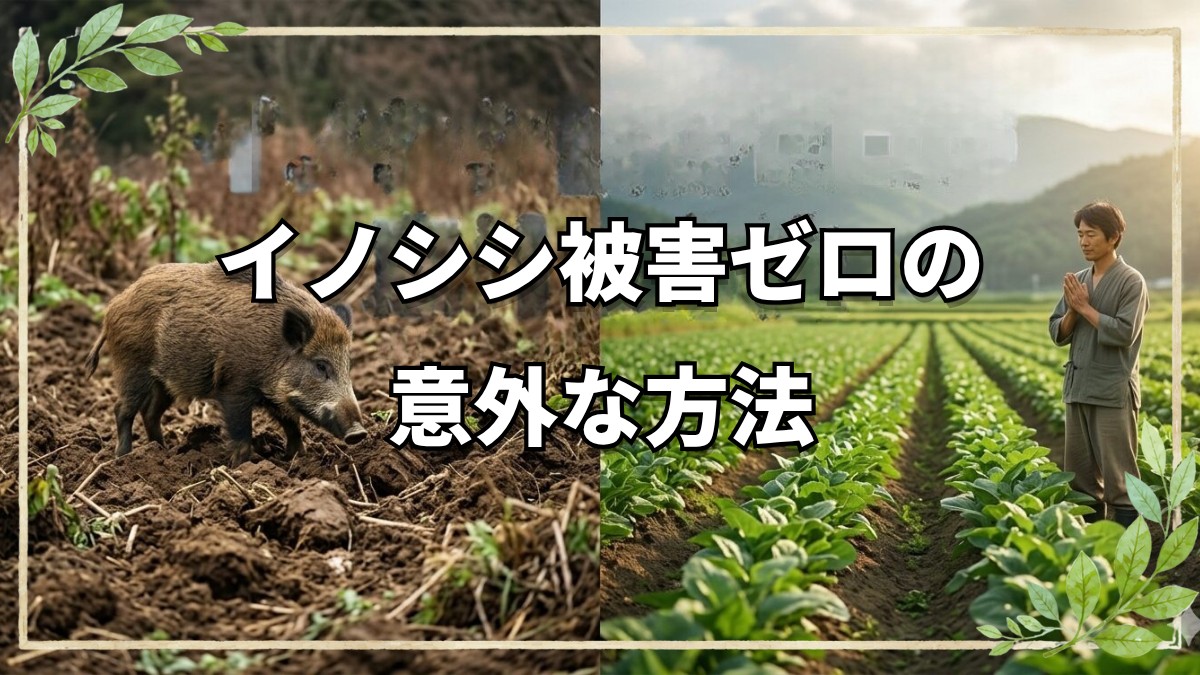 5秒でできる鳥獣害対策？自然栽培20年のプロが教える『イノシシと共存する』心の在り方