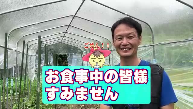 生命力を高めるための食の選択