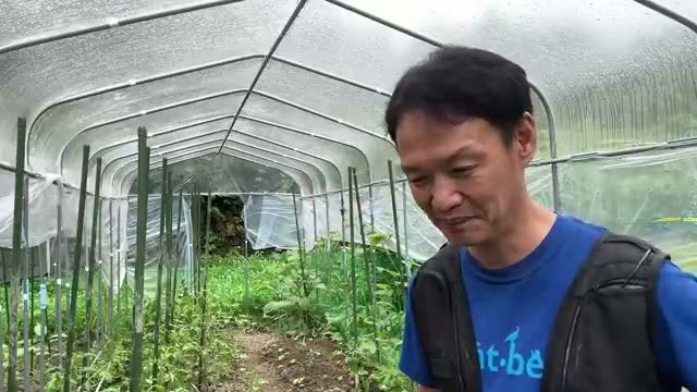 市販の種でも10日で変化する土の力