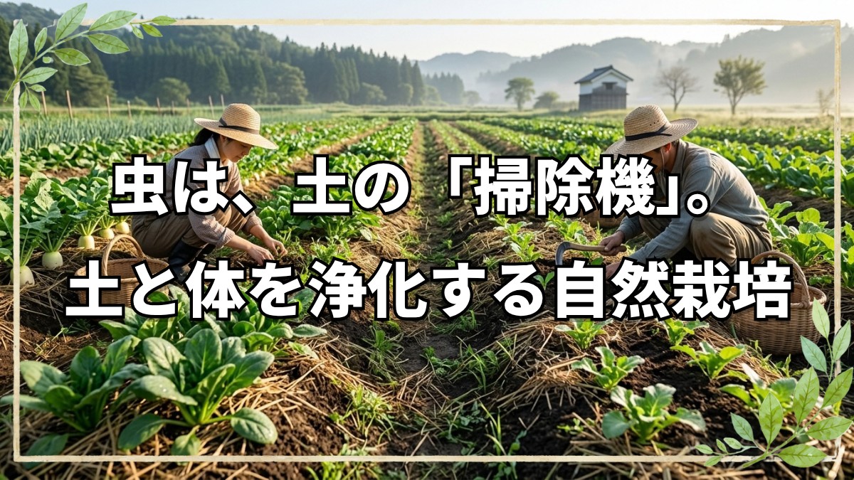 土と体はつながっている？自然農法が教えてくれる「浄化」と「生命力」の真実