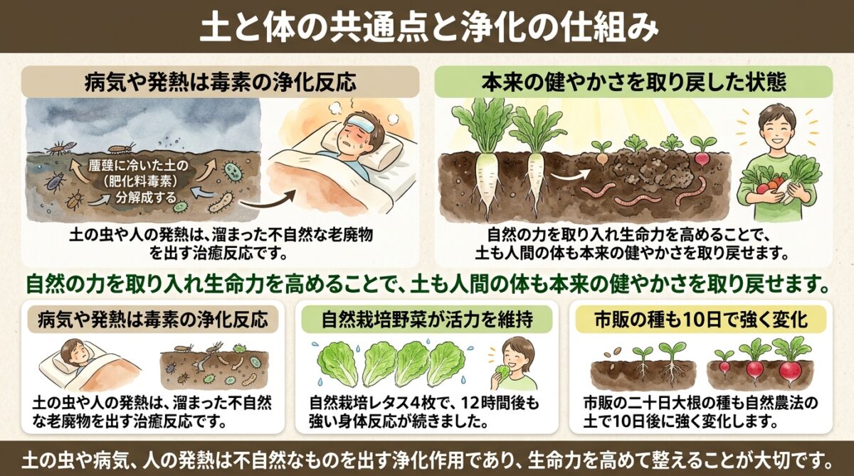 土と体はつながっている?自然農法が教えてくれる「浄化」と「生命力」の真実