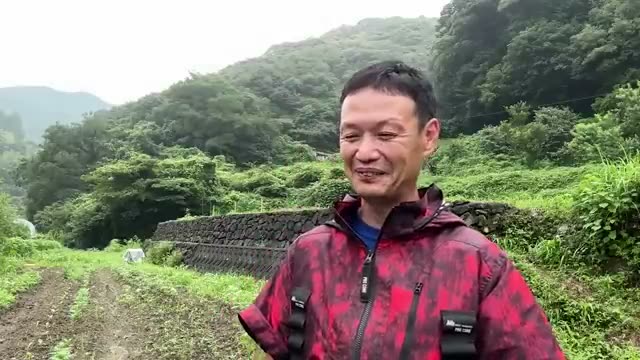 1. 食物には「体(量)」と「エネルギー(氣)」がある