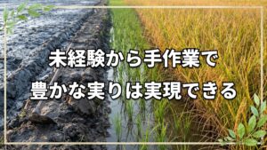 未経験から自然栽培で米の反収12俵を達成